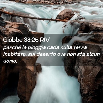 Picture 02 - Giobbe 38:26 RIV - perché la pioggia cada sulla terra inabitata, - Bible Verse Picture