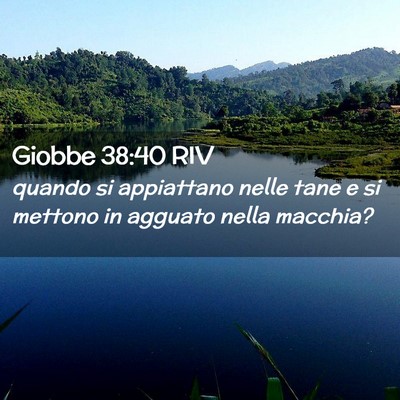 Picture 02 - Giobbe 38:40 RIV - quando si appiattano nelle tane e si mettono in - Bible Verse Picture