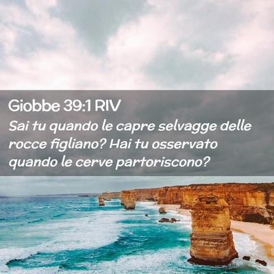 Picture 02 - Giobbe 39:1 RIV - Sai tu quando le capre selvagge delle rocce - Bible Verse Picture