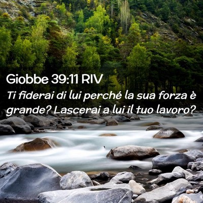 Picture 02 - Giobbe 39:11 RIV - Ti fiderai di lui perché la sua forza è grande? - Bible Verse Picture