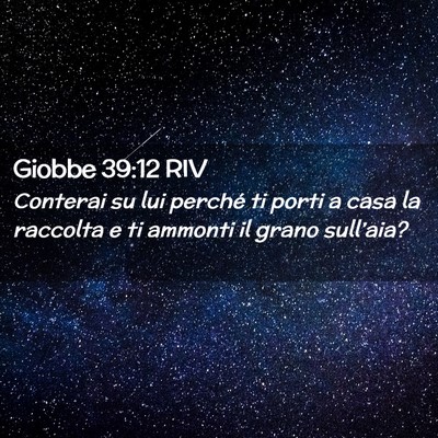 Picture 02 - Giobbe 39:12 RIV - Conterai su lui perché ti porti a casa la - Bible Verse Picture