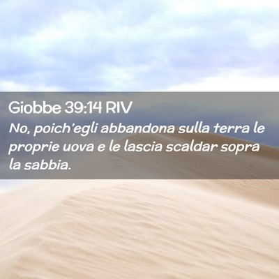 Picture 02 - Giobbe 39:14 RIV - No, poich’egli abbandona sulla terra le proprie - Bible Verse Picture