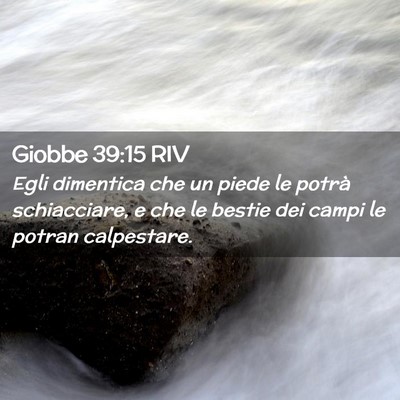 Picture 02 - Giobbe 39:15 RIV - Egli dimentica che un piede le potrà - Bible Verse Picture