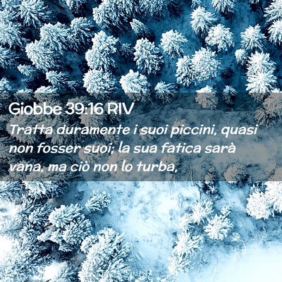 Picture 02 - Giobbe 39:16 RIV - Tratta duramente i suoi piccini, quasi non fosser - Bible Verse Picture