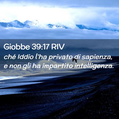 Picture 02 - Giobbe 39:17 RIV - ché Iddio l’ha privato di sapienza, e non gli - Bible Verse Picture