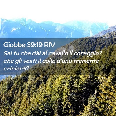 Picture 02 - Giobbe 39:19 RIV - Sei tu che dài al cavallo il coraggio? che gli - Bible Verse Picture