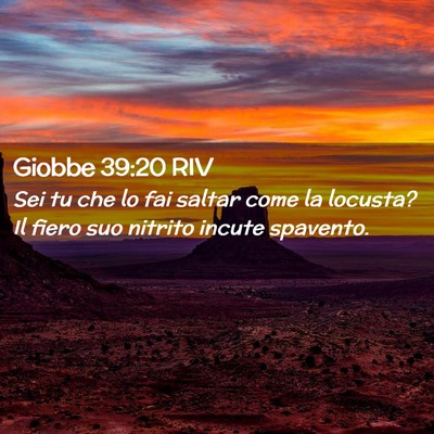 Picture 02 - Giobbe 39:20 RIV - Sei tu che lo fai saltar come la locusta? Il - Bible Verse Picture
