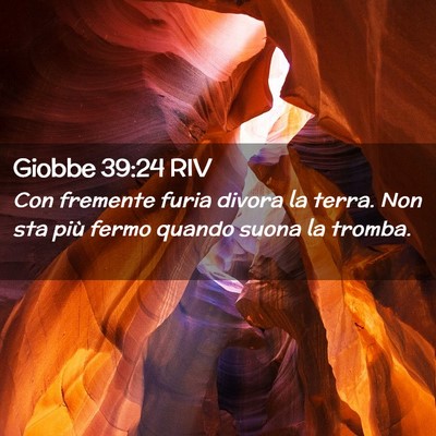 Picture 02 - Giobbe 39:24 RIV - Con fremente furia divora la terra. Non sta più - Bible Verse Picture
