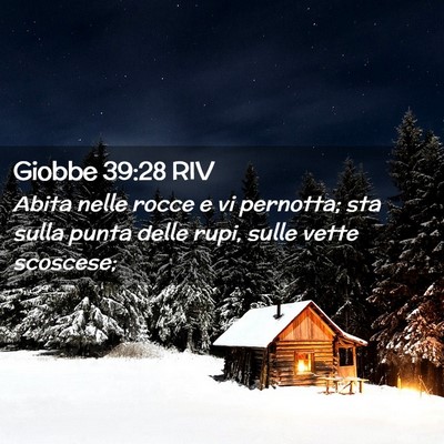 Picture 02 - Giobbe 39:28 RIV - Abita nelle rocce e vi pernotta; sta sulla punta - Bible Verse Picture