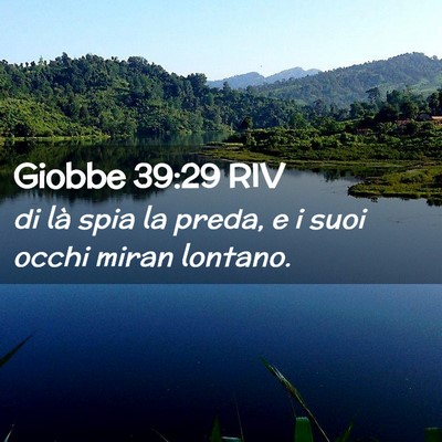 Picture 02 - Giobbe 39:29 RIV - di là spia la preda, e i suoi occhi miran - Bible Verse Picture
