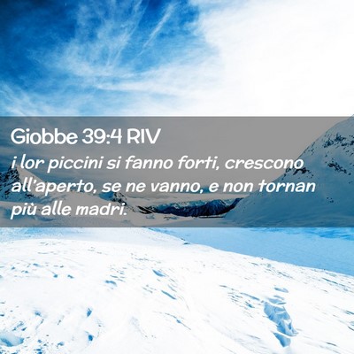 Picture 02 - Giobbe 39:4 RIV - i lor piccini si fanno forti, crescono - Bible Verse Picture