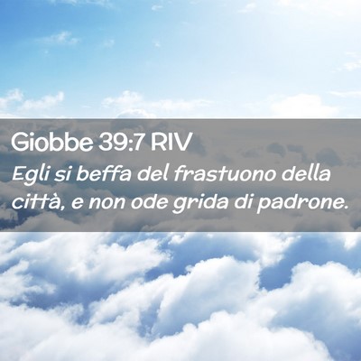 Picture 02 - Giobbe 39:7 RIV - Egli si beffa del frastuono della città, e non - Bible Verse Picture
