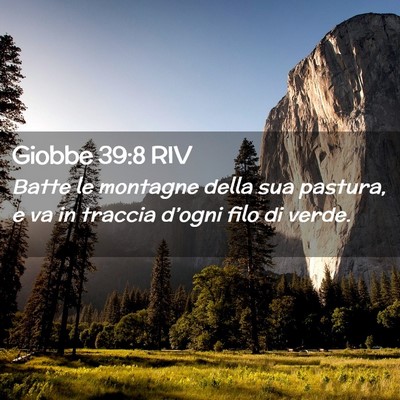 Picture 02 - Giobbe 39:8 RIV - Batte le montagne della sua pastura, e va in - Bible Verse Picture