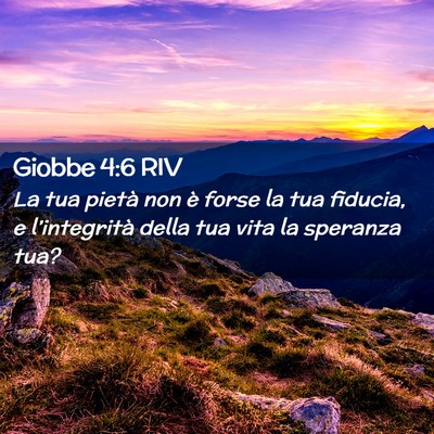 Picture 02 - Giobbe 4:6 RIV - La tua pietà non è forse la tua fiducia, e - Bible Verse Picture