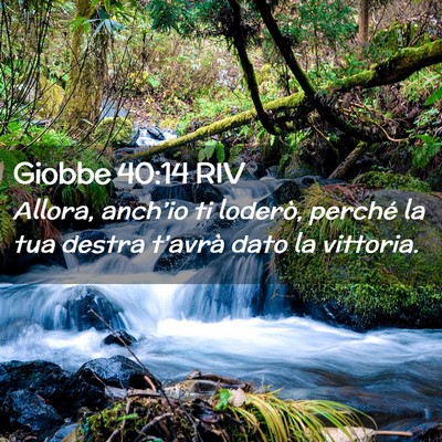 Picture 02 - Giobbe 40:14 RIV - Allora, anch’io ti loderò, perché la tua - Bible Verse Picture