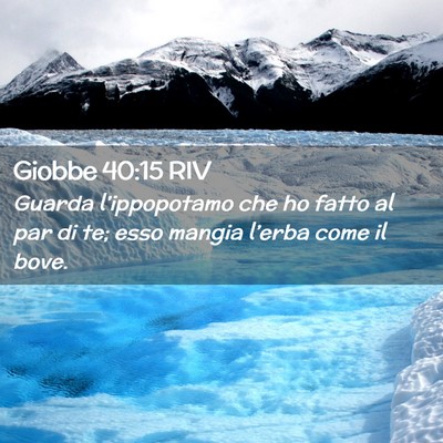 Picture 02 - Giobbe 40:15 RIV - Guarda l’ippopotamo che ho fatto al par di te; - Bible Verse Picture