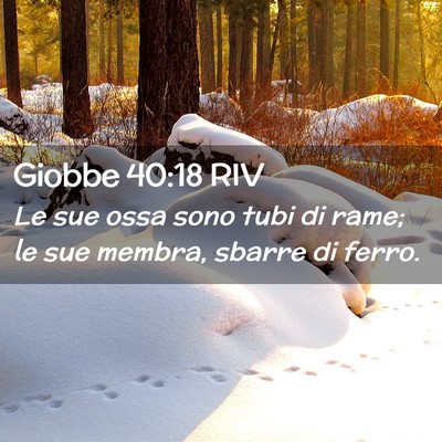 Picture 02 - Giobbe 40:18 RIV - Le sue ossa sono tubi di rame; le sue membra, - Bible Verse Picture