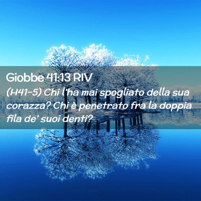 Picture 02 - Giobbe 41:13 RIV - (H41-5) Chi l’ha mai spogliato della sua - Bible Verse Picture