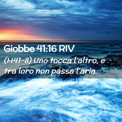 Picture 02 - Giobbe 41:16 RIV - (H41-8) Uno tocca l’altro, e tra loro non passa - Bible Verse Picture
