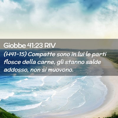 Picture 02 - Giobbe 41:23 RIV - (H41-15) Compatte sono in lui le parti flosce - Bible Verse Picture