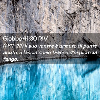Picture 02 - Giobbe 41:30 RIV - (H41-22) Il suo ventre è armato di punte acute, - Bible Verse Picture