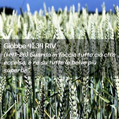 Picture 02 - Giobbe 41:34 RIV - (H41-26) Guarda in faccia tutto ciò ch’è - Bible Verse Picture