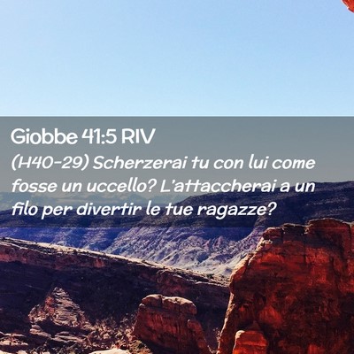 Picture 02 - Giobbe 41:5 RIV - (H40-29) Scherzerai tu con lui come fosse un - Bible Verse Picture