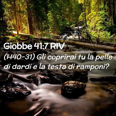 Picture 02 - Giobbe 41:7 RIV - (H40-31) Gli coprirai tu la pelle di dardi e la - Bible Verse Picture