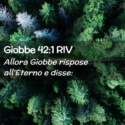 Picture 02 - Giobbe 42:1 RIV - Allora Giobbe rispose all’Eterno e - Bible Verse Picture