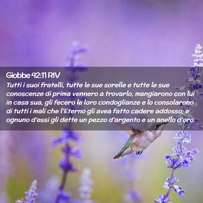 Picture 02 - Giobbe 42:11 RIV - Tutti i suoi fratelli, tutte le sue sorelle e - Bible Verse Picture