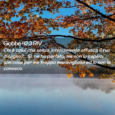 Picture 02 - Giobbe 42:3 RIV - Chi è colui che senza intendimento offusca il - Bible Verse Picture