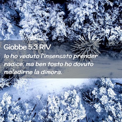 Picture 02 - Giobbe 5:3 RIV - Io ho veduto l’insensato prender radice, ma ben - Bible Verse Picture
