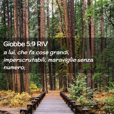 Picture 02 - Giobbe 5:9 RIV - a lui, che fa cose grandi, imperscrutabili, - Bible Verse Picture