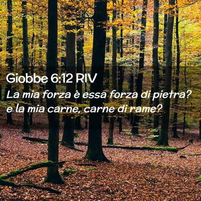 Picture 02 - Giobbe 6:12 RIV - La mia forza è essa forza di pietra? e la mia - Bible Verse Picture