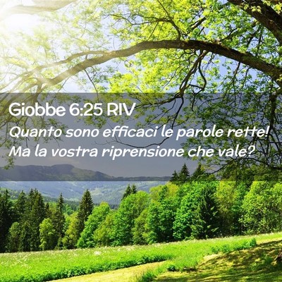 Picture 02 - Giobbe 6:25 RIV - Quanto sono efficaci le parole rette! Ma la - Bible Verse Picture