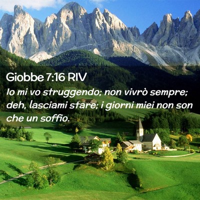 Picture 02 - Giobbe 7:16 RIV - Io mi vo struggendo; non vivrò sempre; deh, - Bible Verse Picture