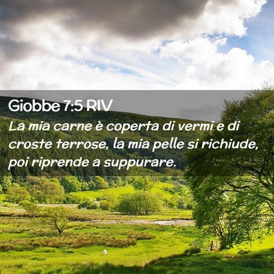 Picture 02 - Giobbe 7:5 RIV - La mia carne è coperta di vermi e di croste - Bible Verse Picture