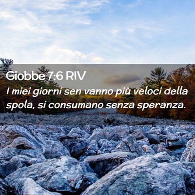 Picture 02 - Giobbe 7:6 RIV - I miei giorni sen vanno più veloci della spola, - Bible Verse Picture