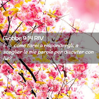 Picture 02 - Giobbe 9:14 RIV - E io, come farei a rispondergli, a sceglier le - Bible Verse Picture
