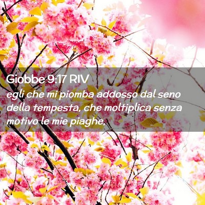 Picture 02 - Giobbe 9:17 RIV - egli che mi piomba addosso dal seno della - Bible Verse Picture