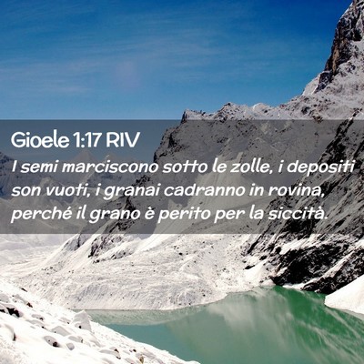 Picture 02 - Gioele 1:17 RIV - I semi marciscono sotto le zolle, i depositi son - Bible Verse Picture