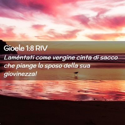 Picture 02 - Gioele 1:8 RIV - Laméntati come vergine cinta di sacco che piange - Bible Verse Picture