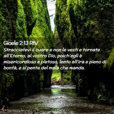 Picture 02 - Gioele 2:13 RIV - Stracciatevi il cuore e non le vesti e tornate - Bible Verse Picture