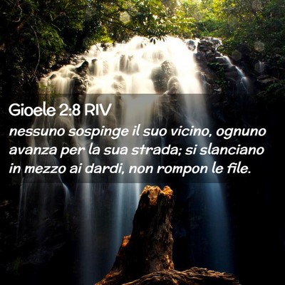 Picture 02 - Gioele 2:8 RIV - nessuno sospinge il suo vicino, ognuno avanza per - Bible Verse Picture