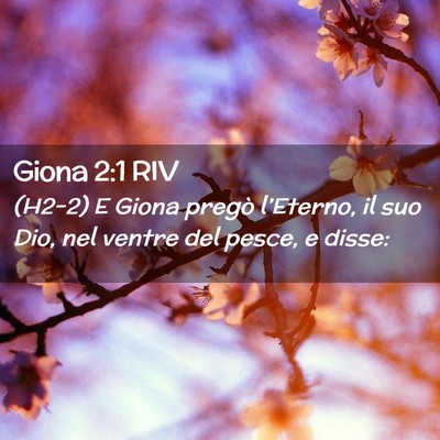 Picture 02 - Giona 2:1 RIV - (H2-2) E Giona pregò l’Eterno, il suo Dio, nel - Bible Verse Picture