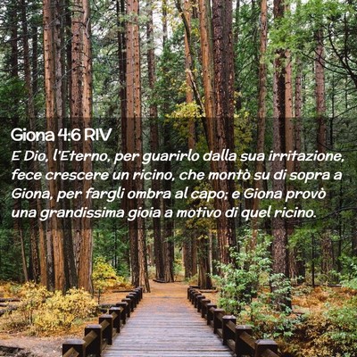 Picture 02 - Giona 4:6 RIV - E Dio, l’Eterno, per guarirlo dalla sua - Bible Verse Picture