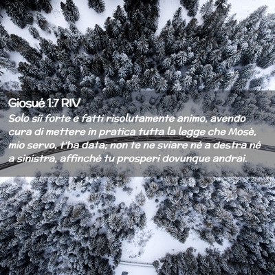 Picture 02 - Giosué 1:7 RIV - Solo sii forte e fatti risolutamente animo, - Bible Verse Picture