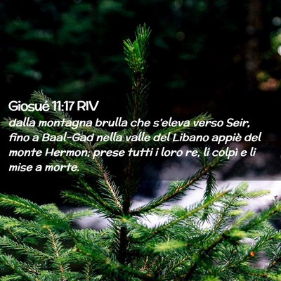 Picture 02 - Giosué 11:17 RIV - dalla montagna brulla che s’eleva verso Seir, - Bible Verse Picture