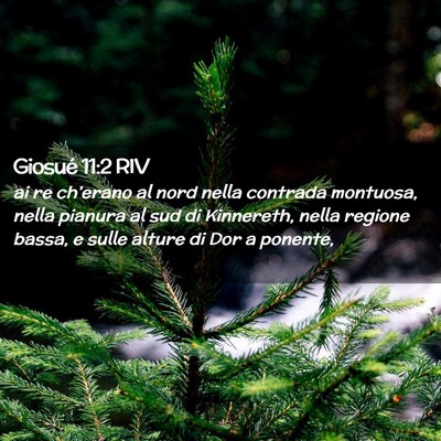 Picture 02 - Giosué 11:2 RIV - ai re ch’erano al nord nella contrada montuosa, - Bible Verse Picture