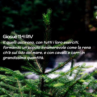 Picture 02 - Giosué 11:4 RIV - E quelli uscirono, con tutti i loro eserciti, - Bible Verse Picture